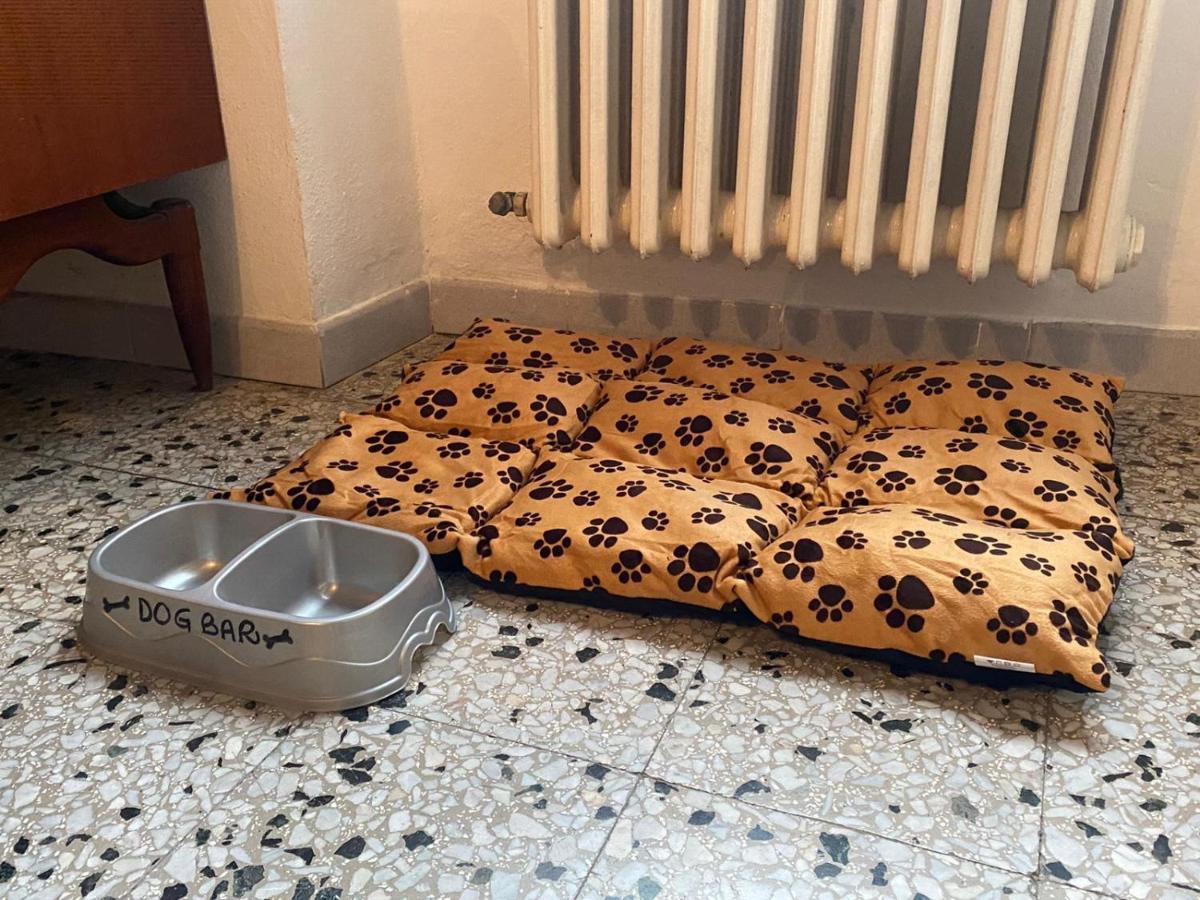 Casa Vacanze Beppina Кортона Экстерьер фото